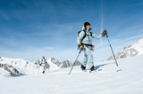 Trios Freebird Poles