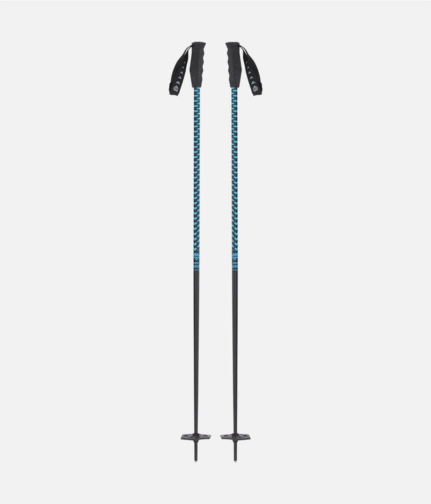 Meta Ski Poles