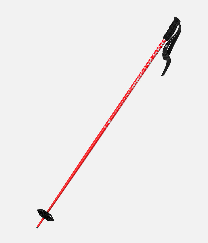 Meta Ski Poles